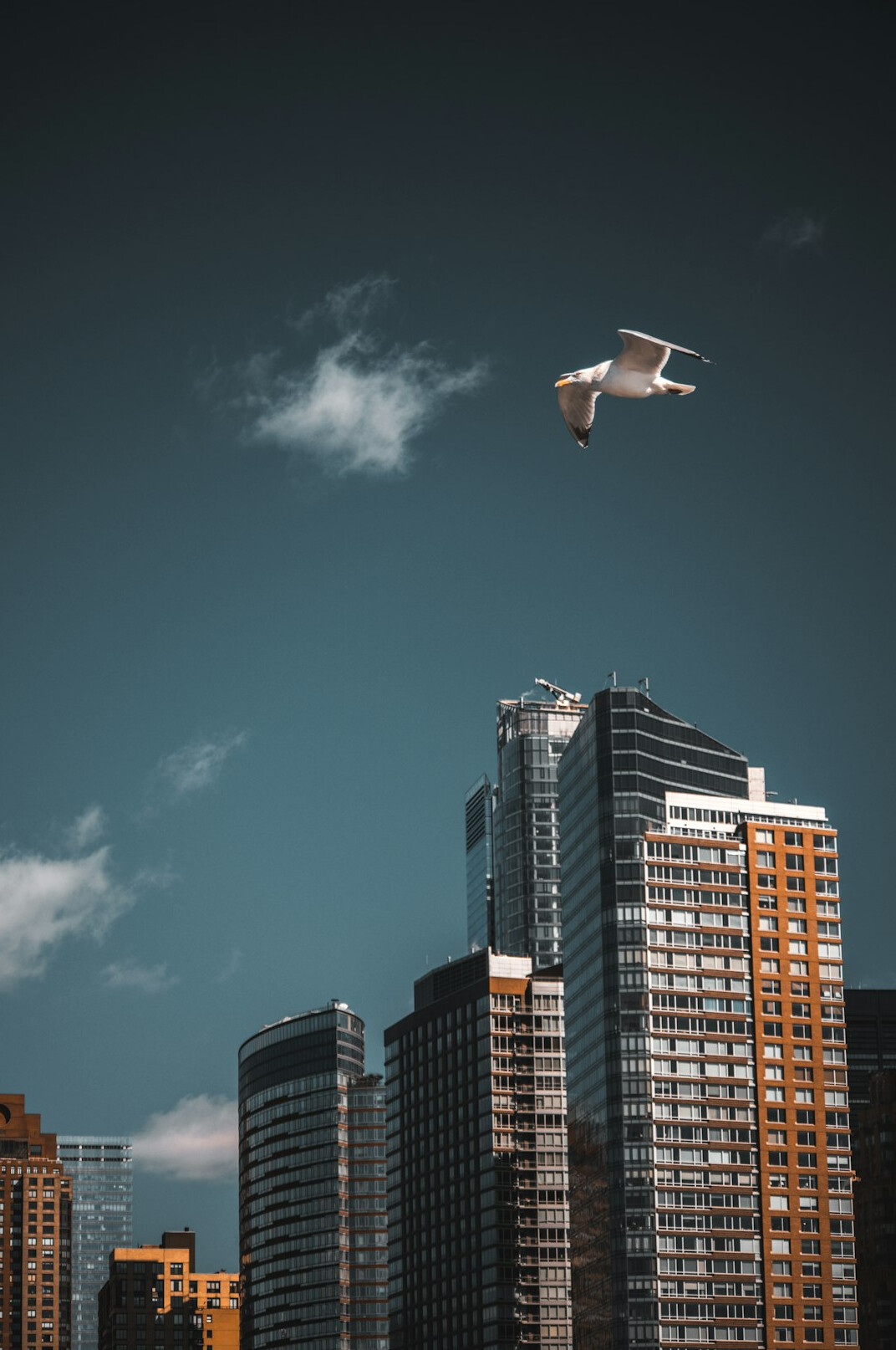 drone flying over city
